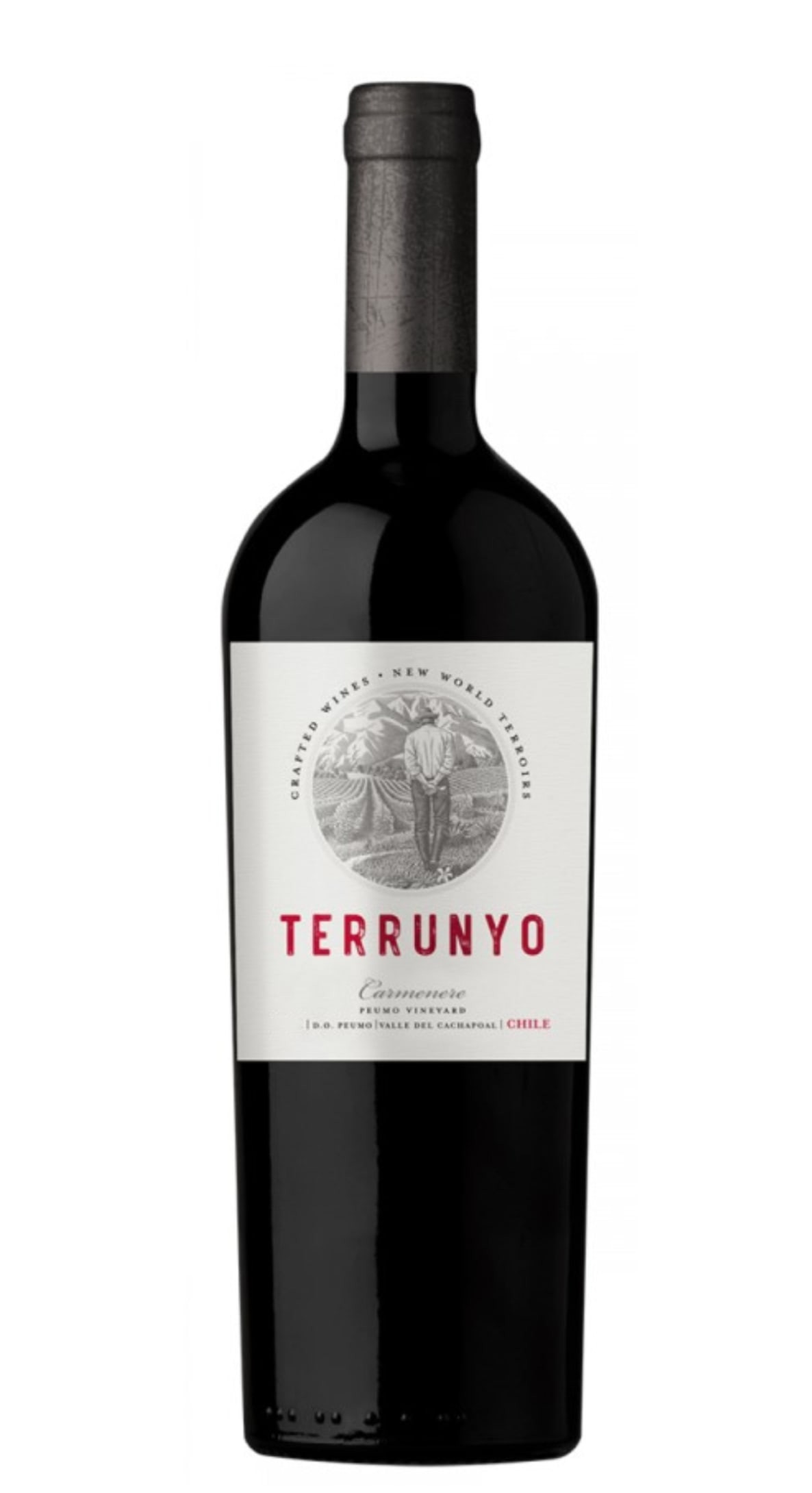 Terrunyo Carmenère