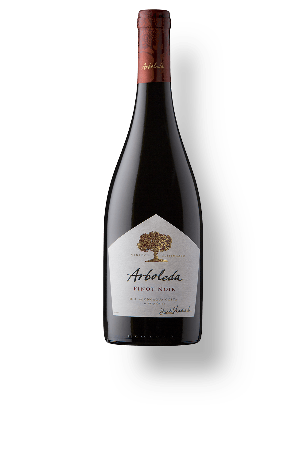 Pinot Noir