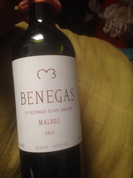 Benegas Benegas Lynch La Encerrada Estate Vineyard Malbec (Mendoza)