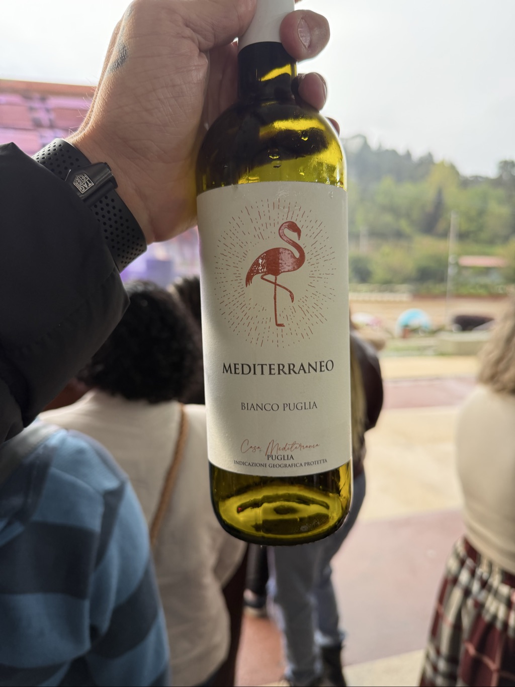 Mediterraneo Bianco Puglia