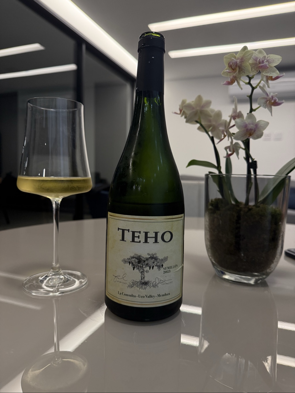 Semillón