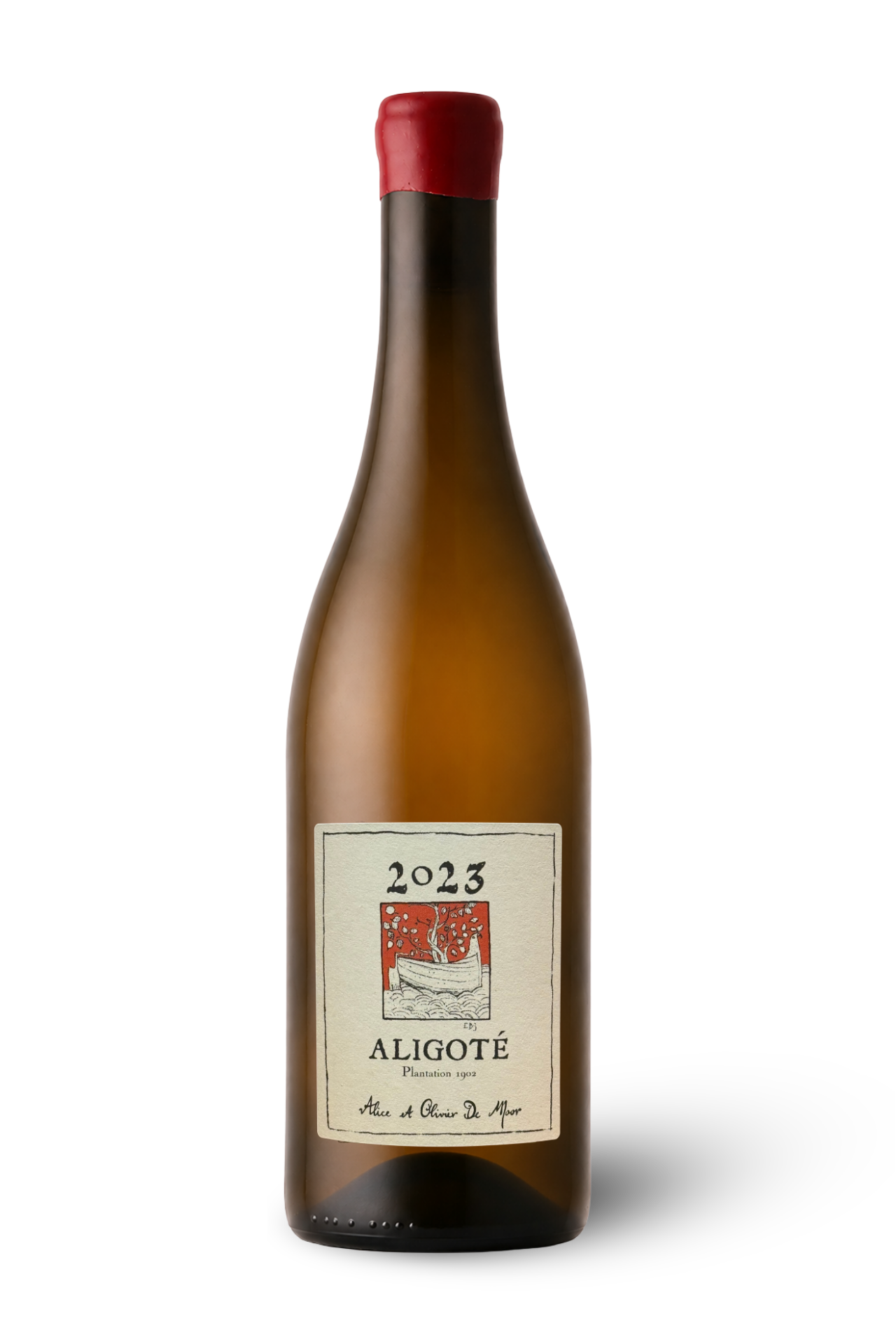 Aligote Plantation