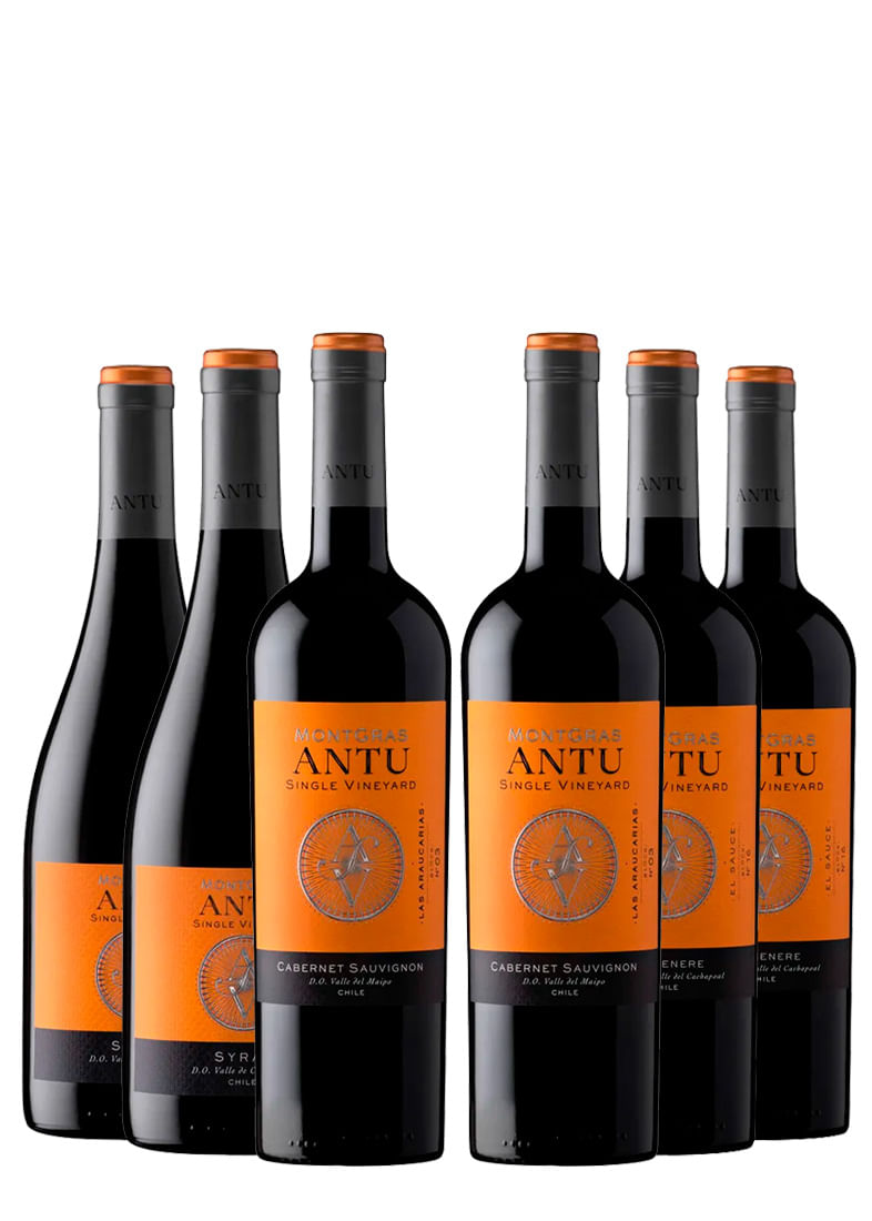 Montgras Antu Single Vineyard
