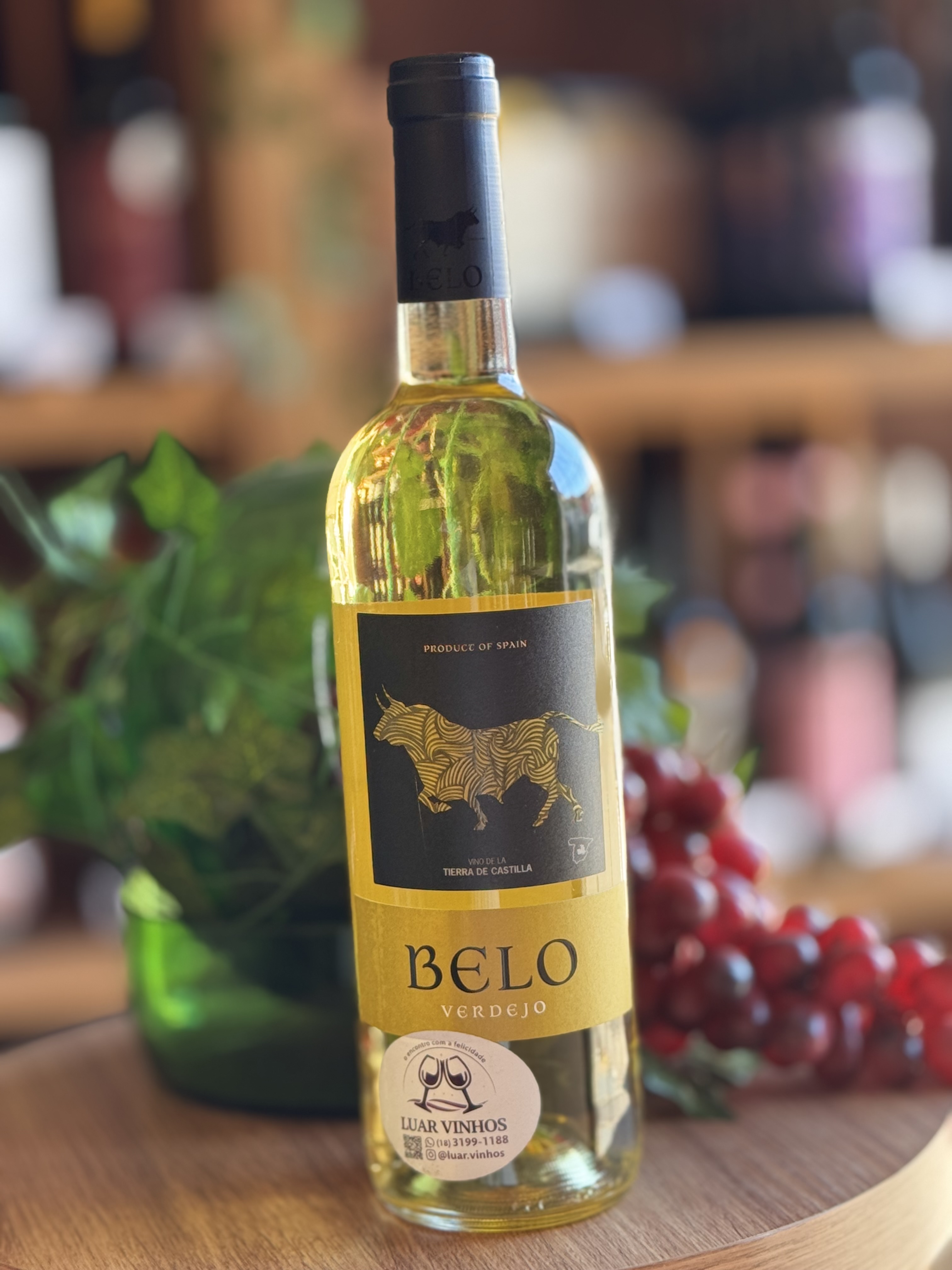 Belo Verdejo