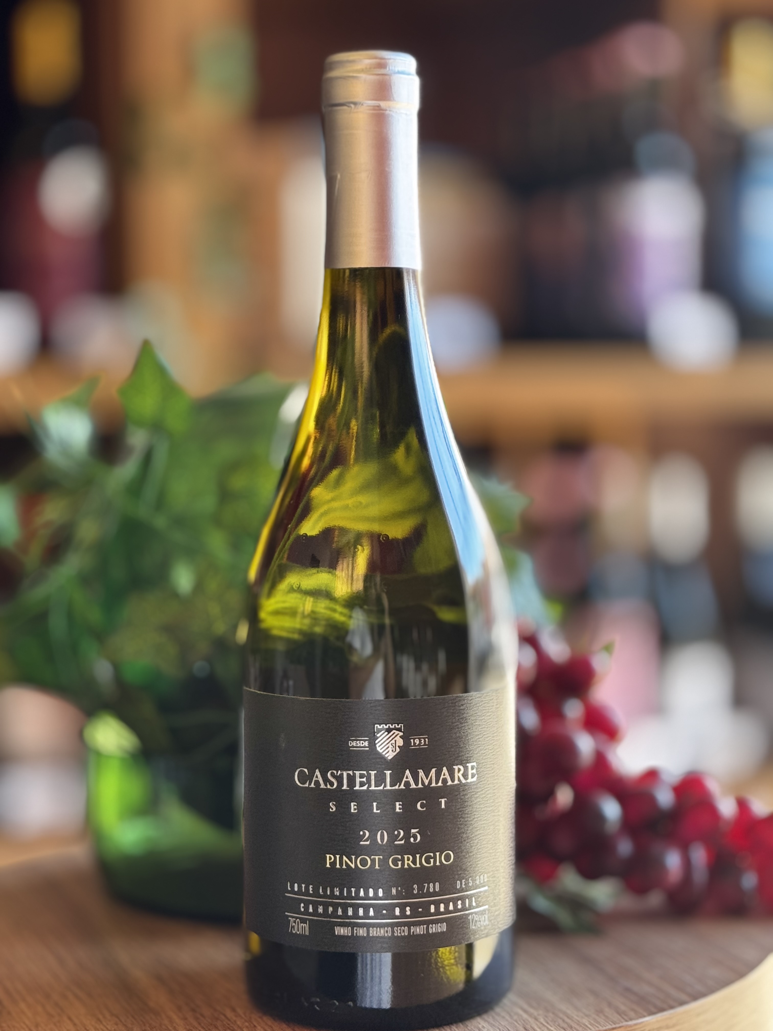 Vinho Fino Branco Pinot Grigio - Castellamare
