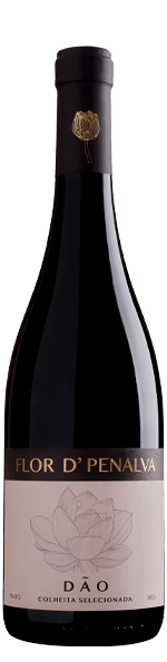 Flor De Penalva Colheita Selecionada