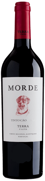 Cão Morde