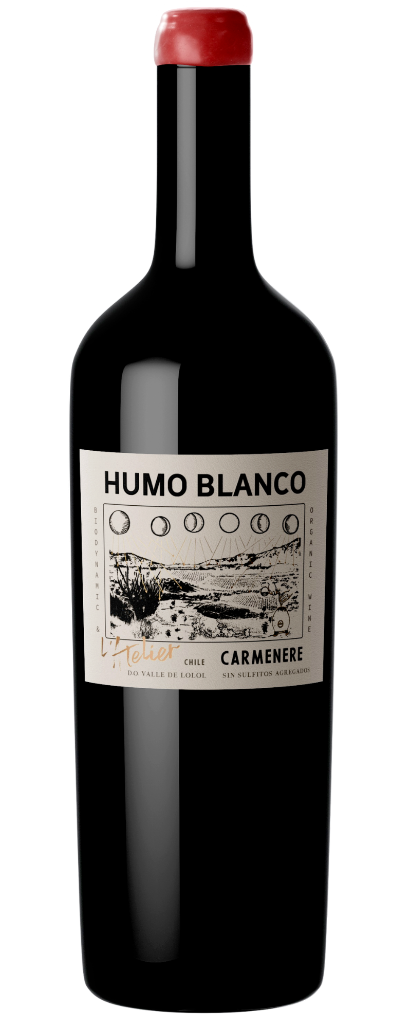 L’Atelier Humo Blanco