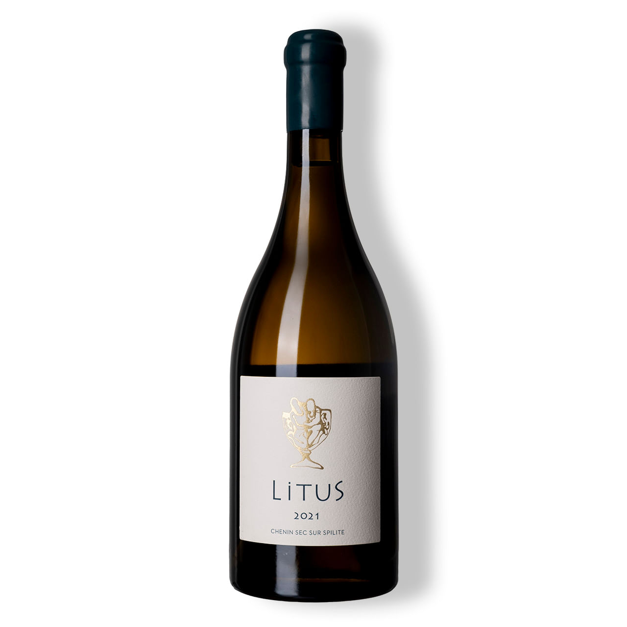 Litus