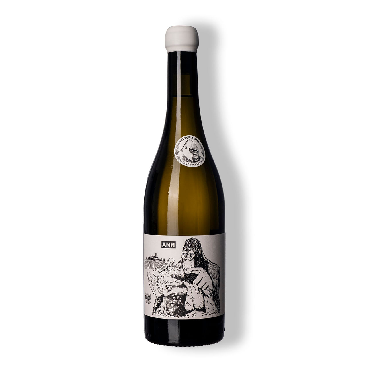 Ann Vernaccia