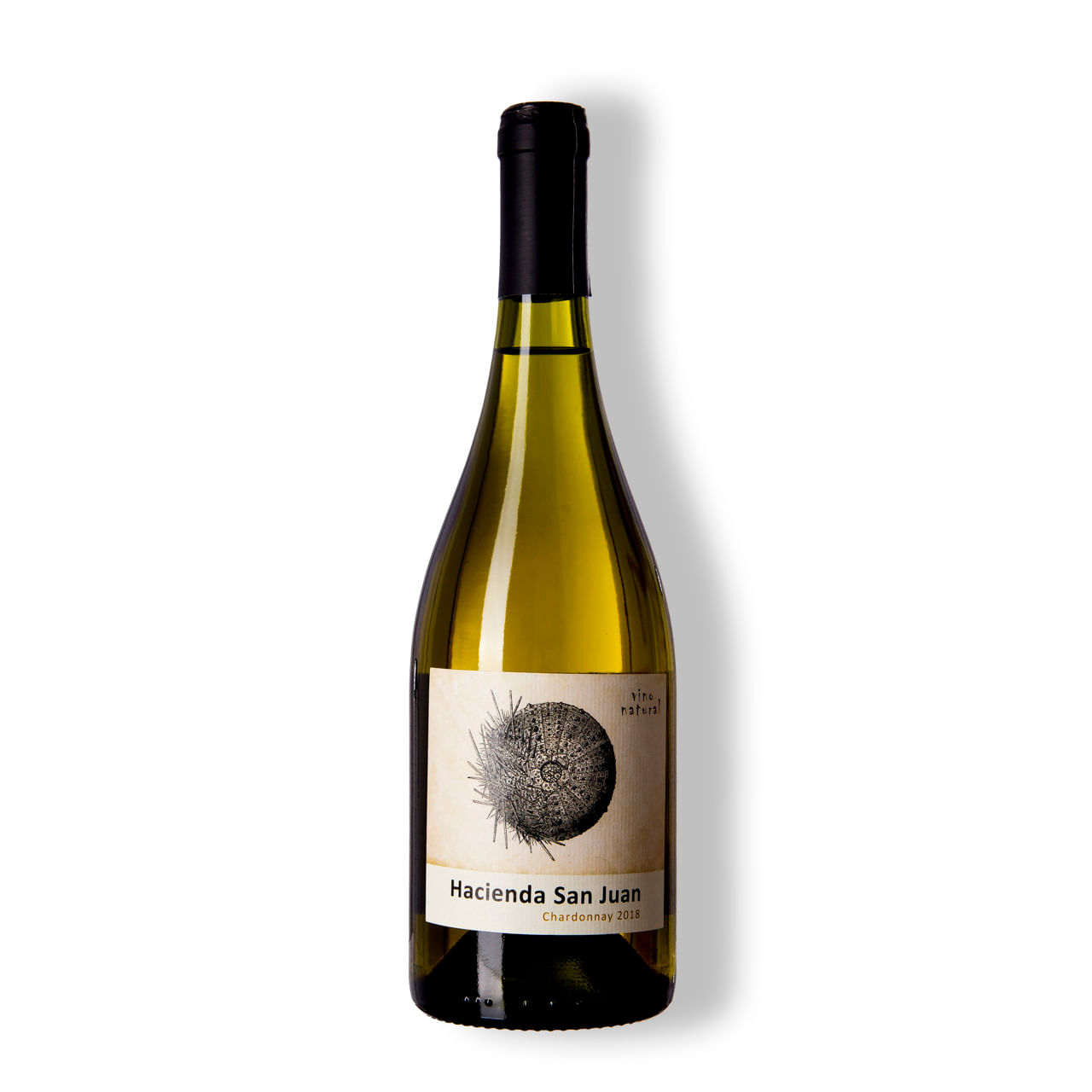 Chardonnay Vale de Casablanca