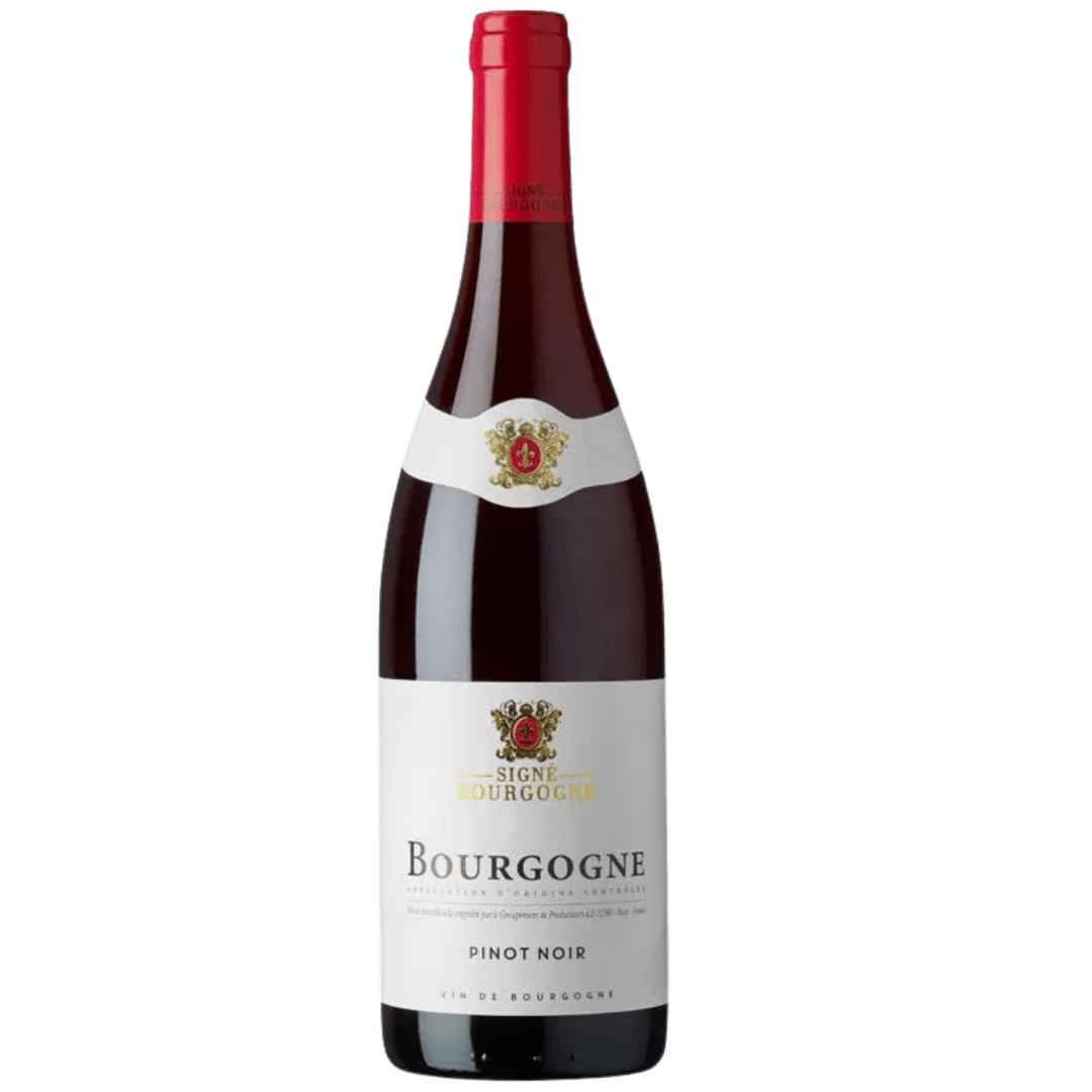 Bourgogne Pinot Noir
