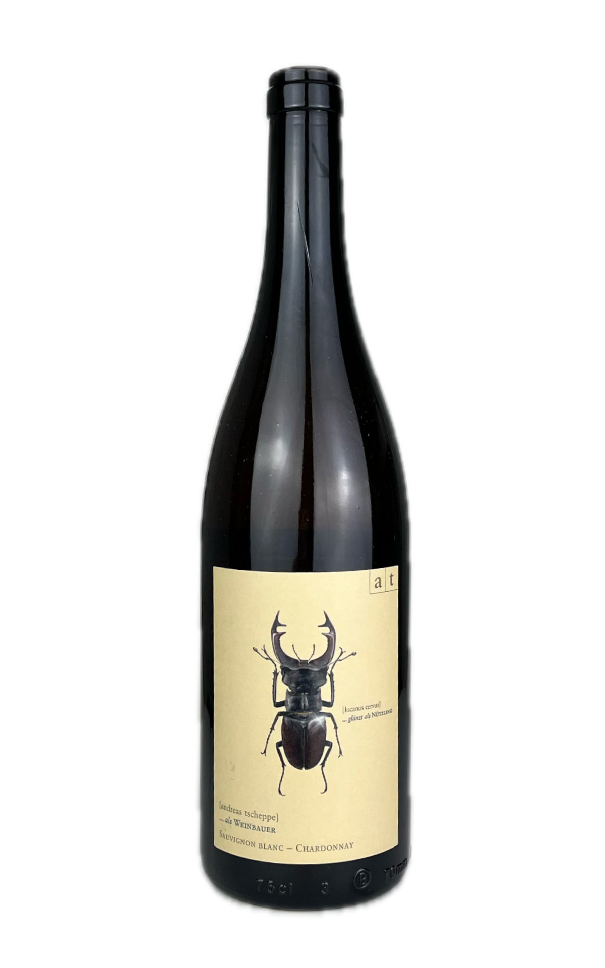 Stagbeetle