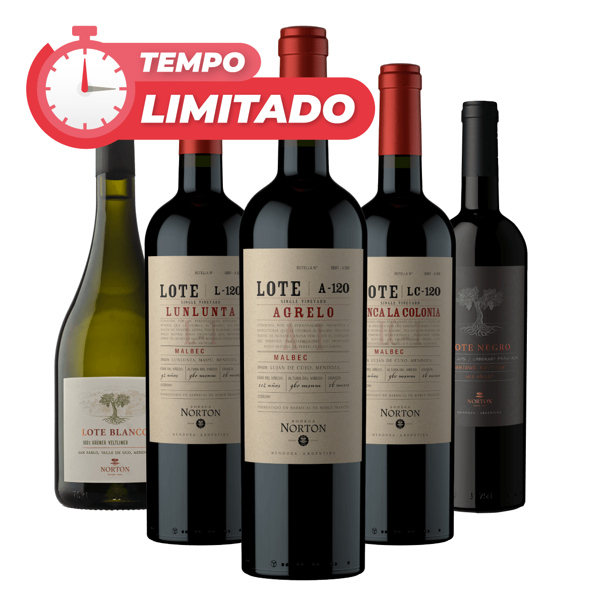 5 Lotes de Mendoza