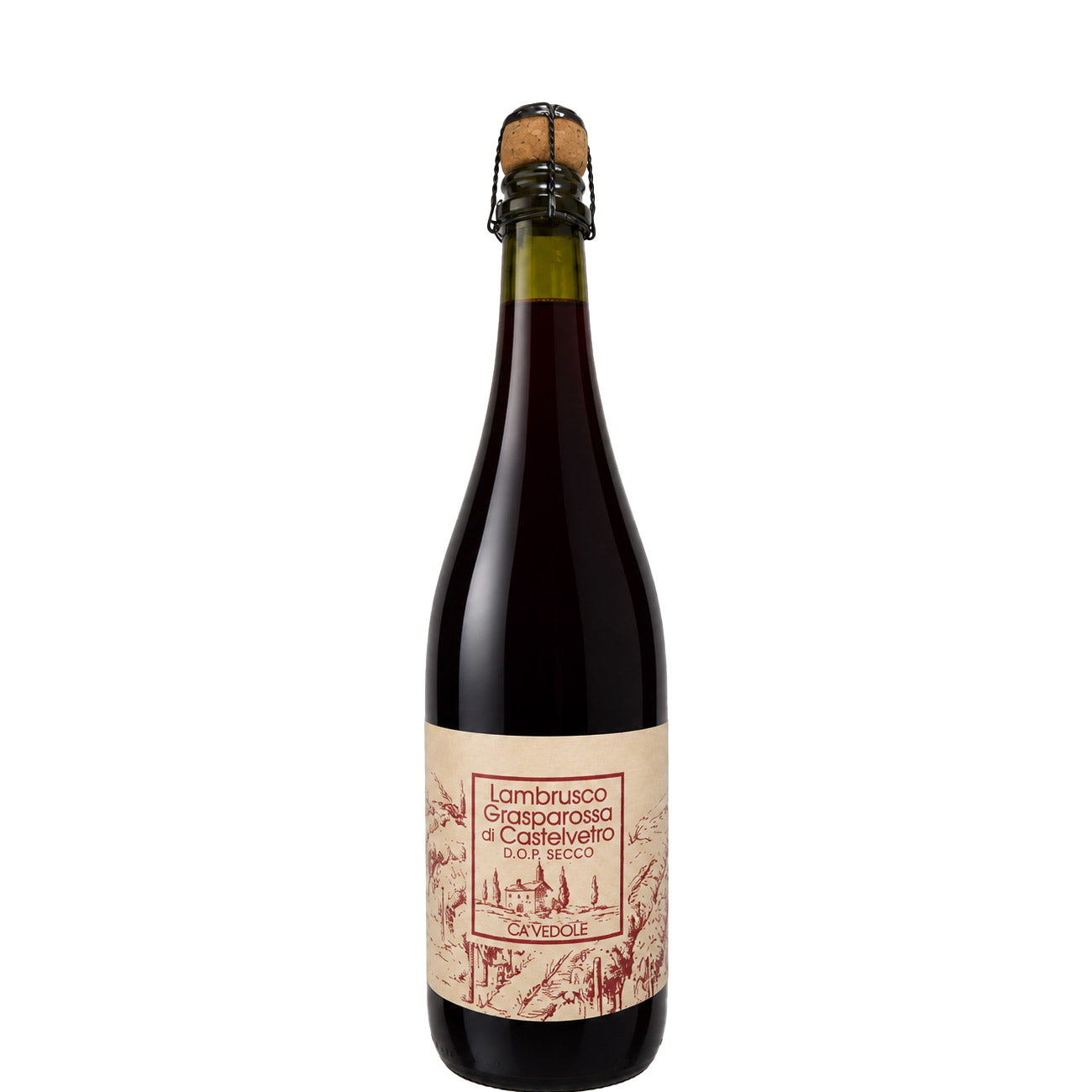 Lambrusco Grasparossa di Castelvetro