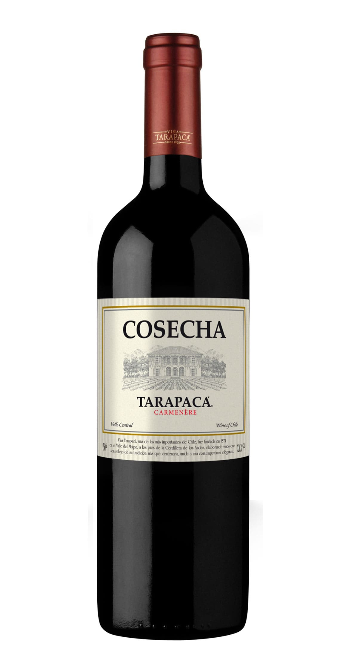 Cosecha Tarapacá Carmenère