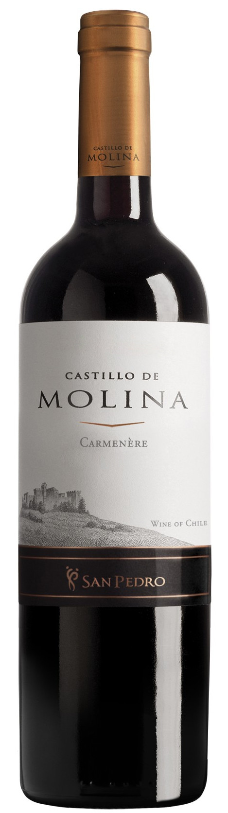 Castillo de Molina Carmenere