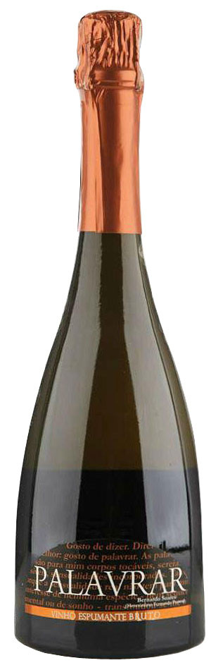 Palavrar Brut