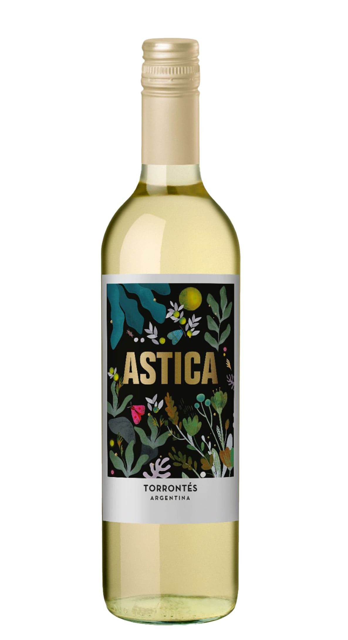 Astica Torrontés