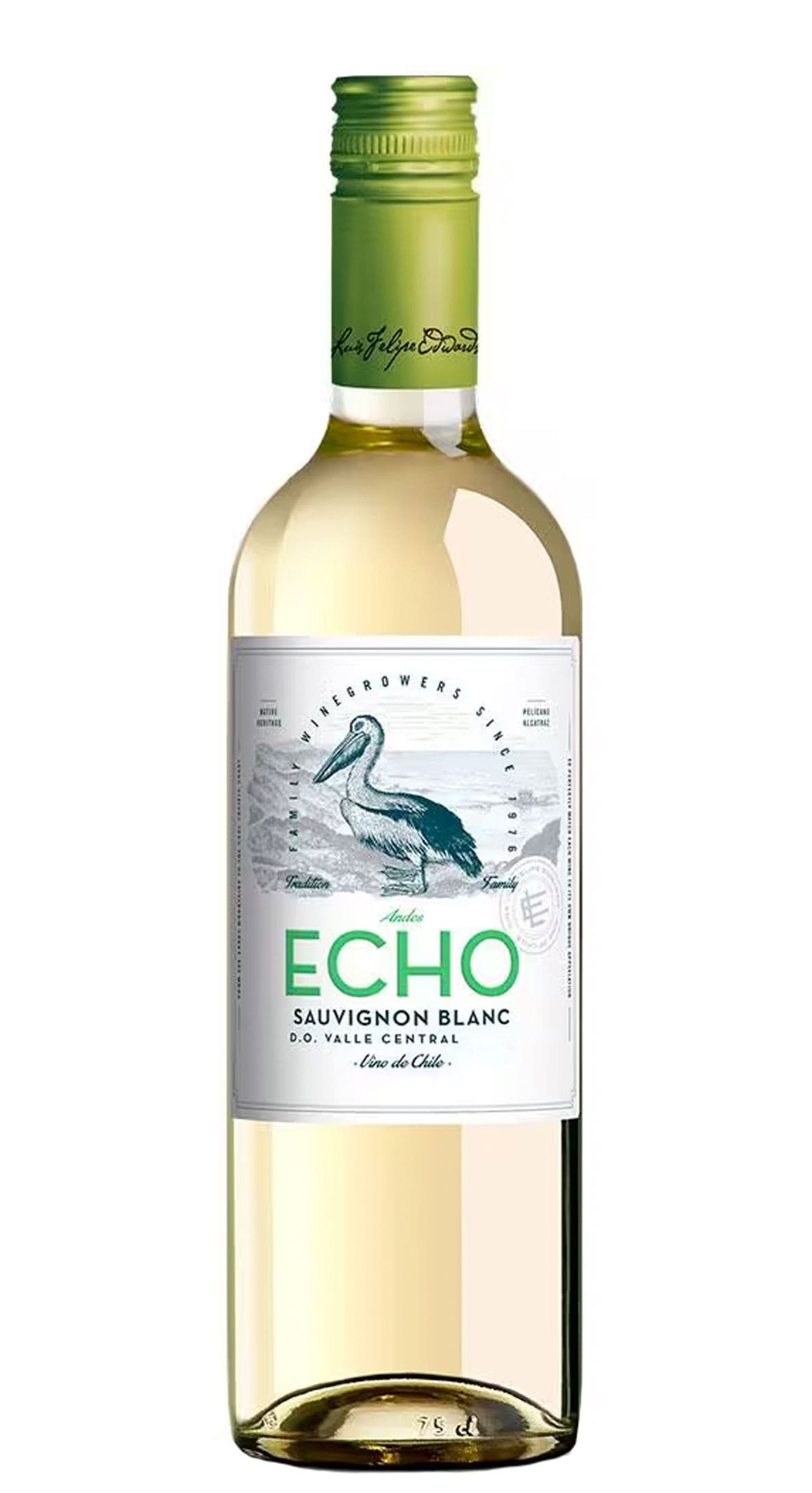 Andes Echo Sauvignon Blanc