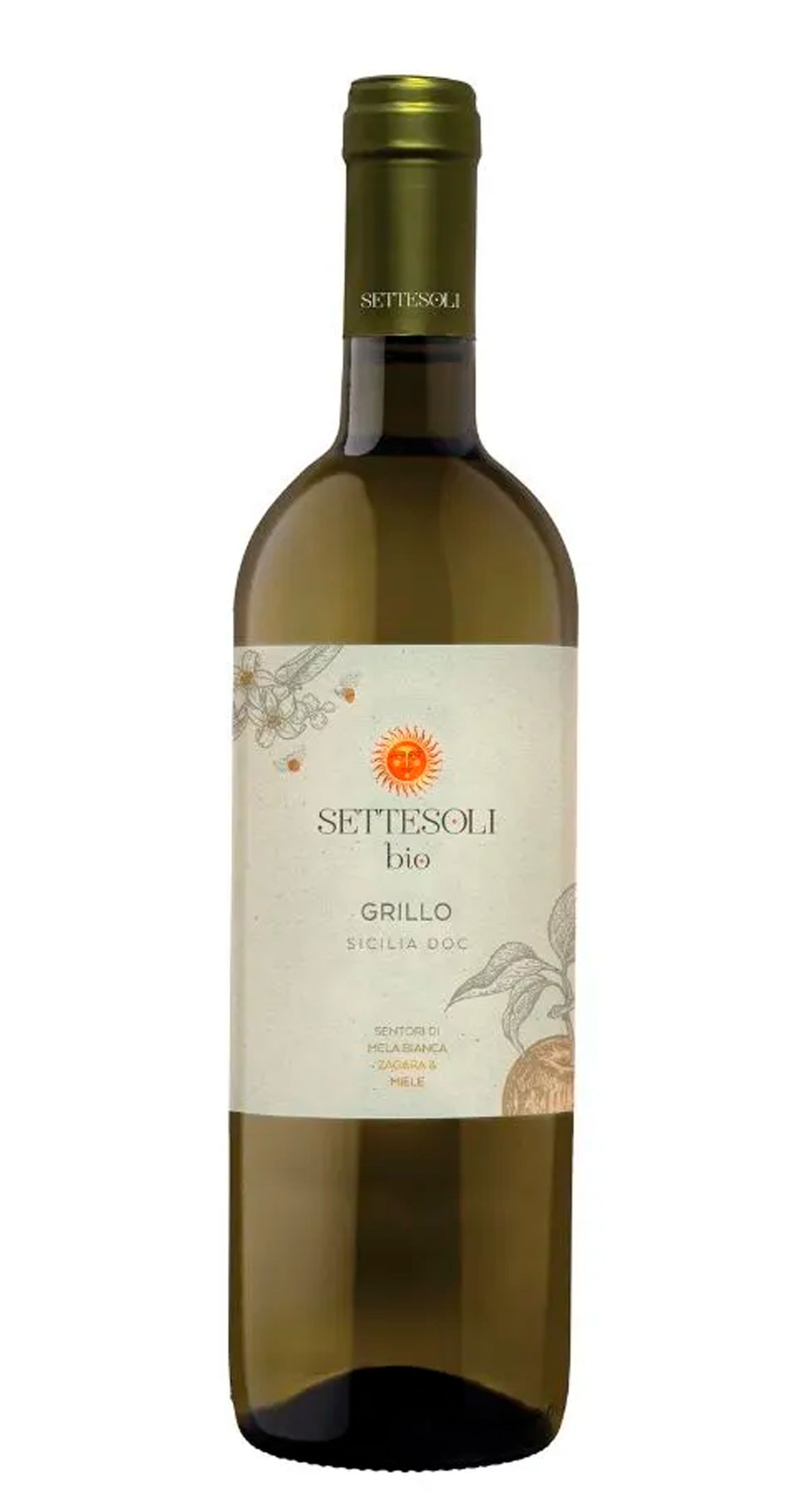 Bio Grillo