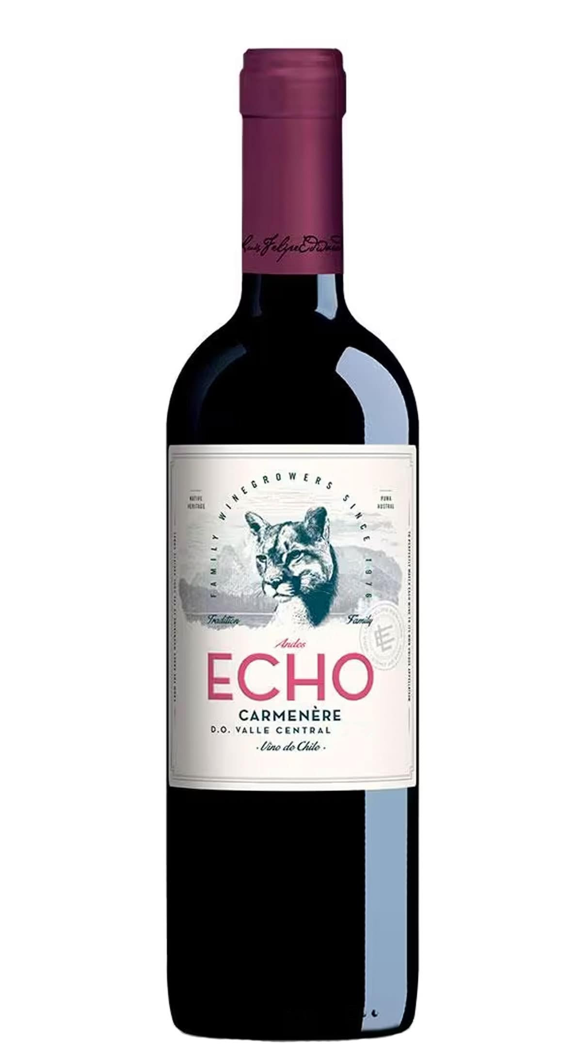 Andes Echo Carmenere