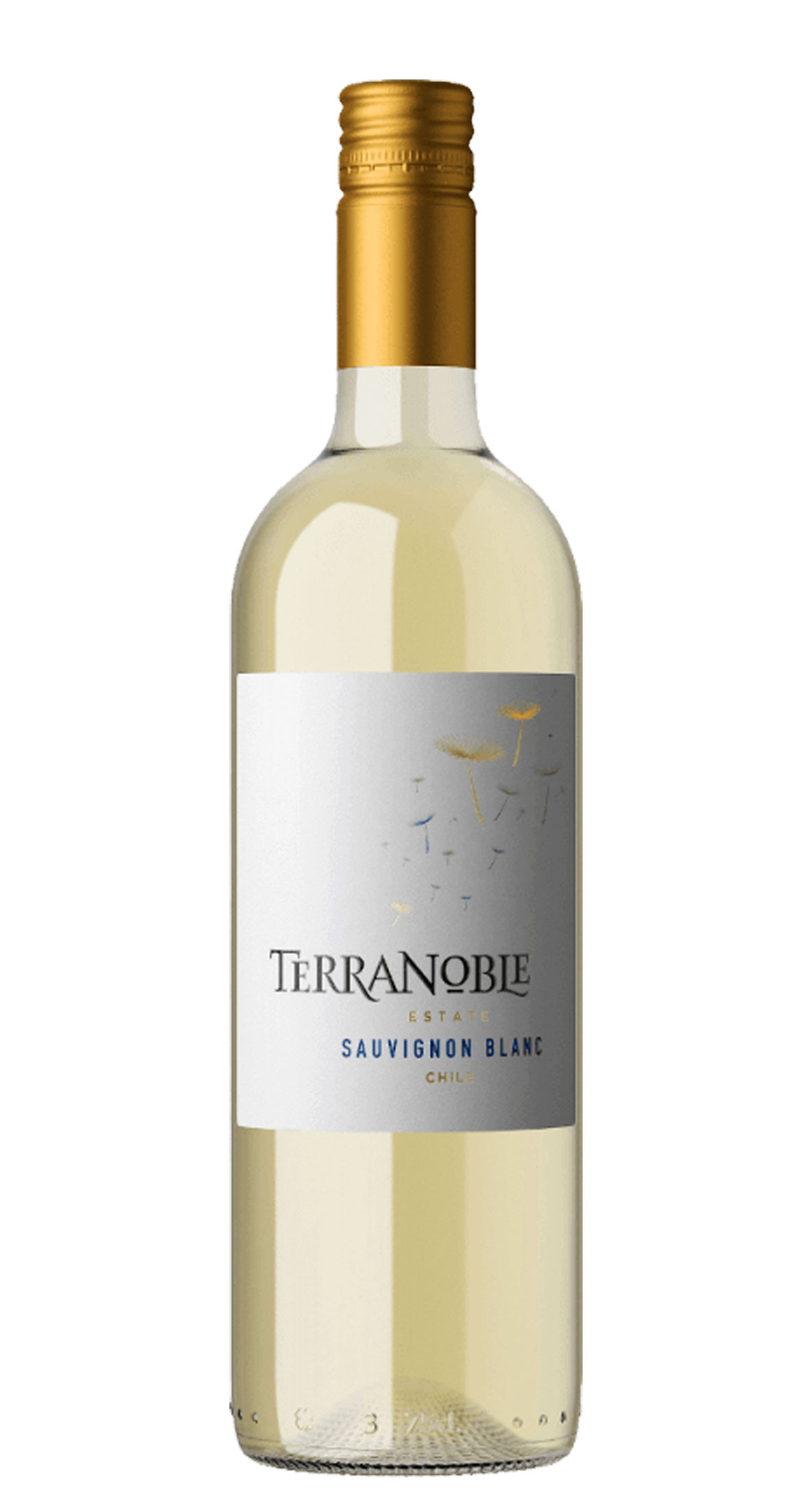 Terranoble Classic Sauvignon Blanc