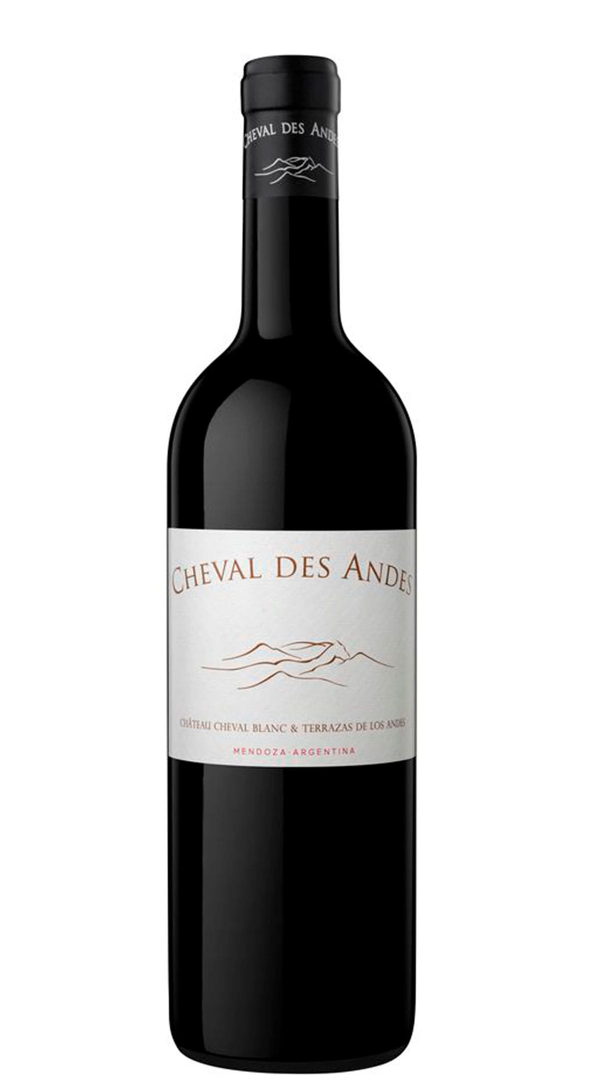 Cheval des Andes