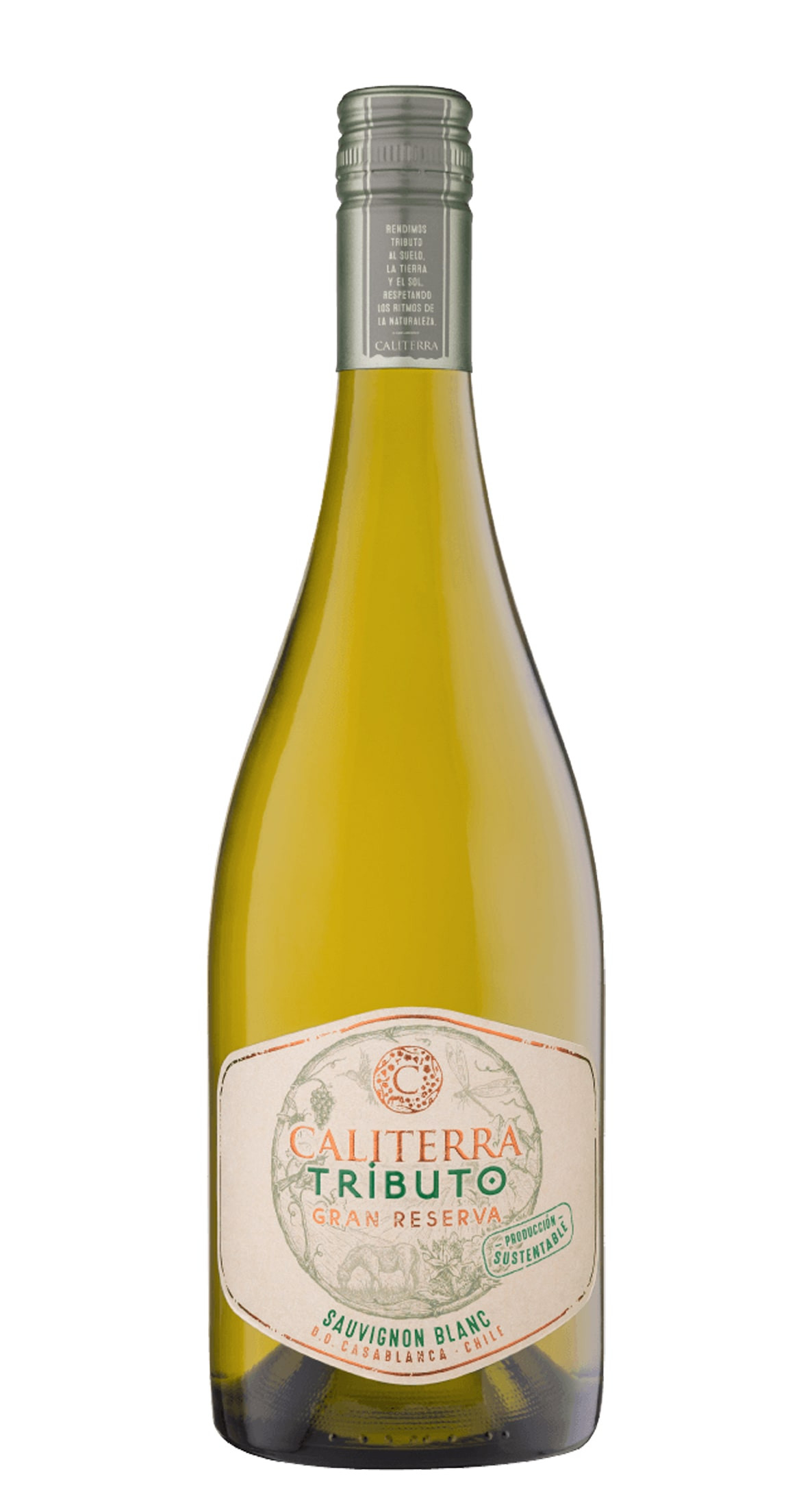 Caliterra Tributo Gran Reserva Sauvignon Blanc