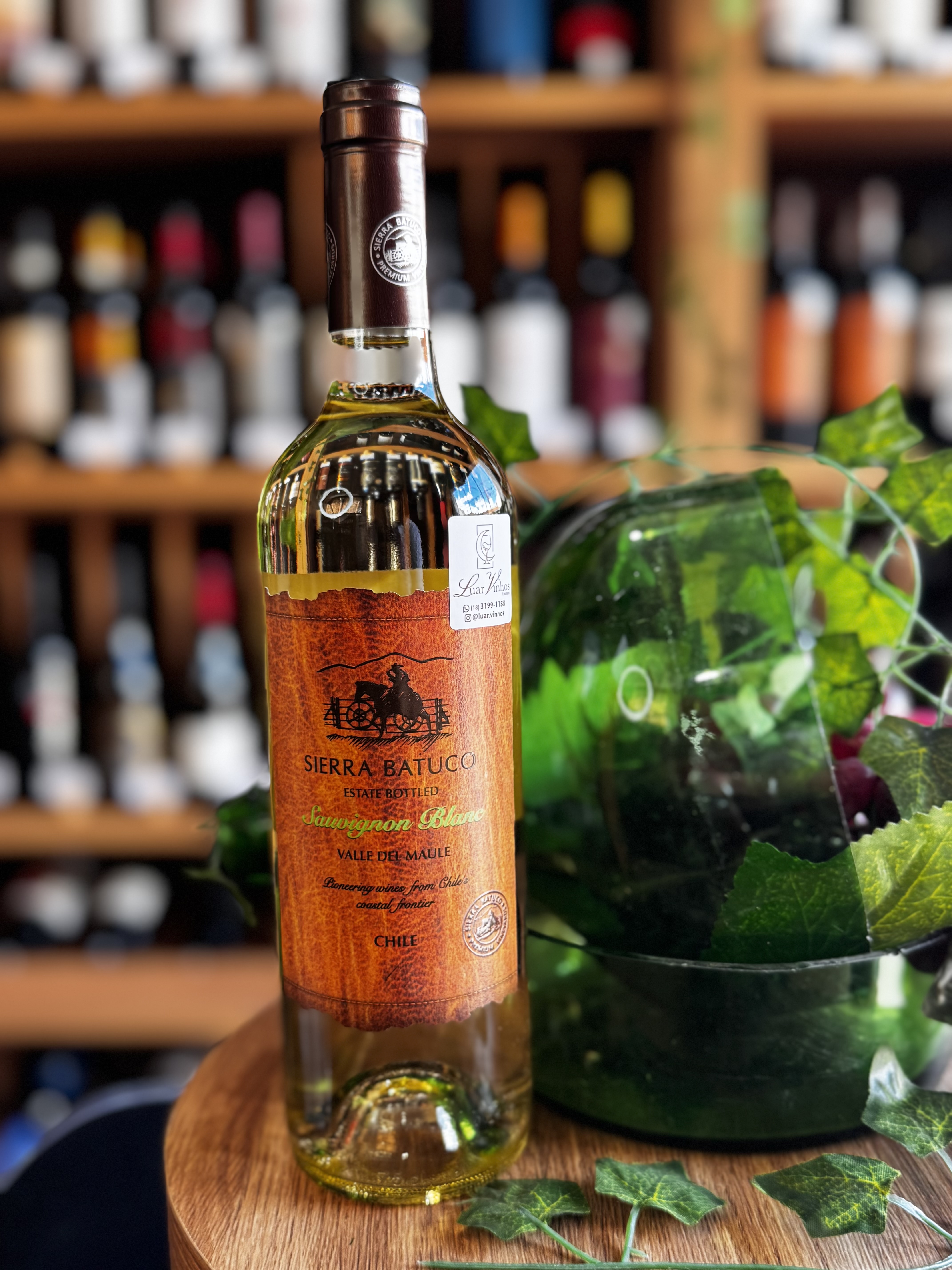 Sierra Batuco Reserva Sauvignon Blanc