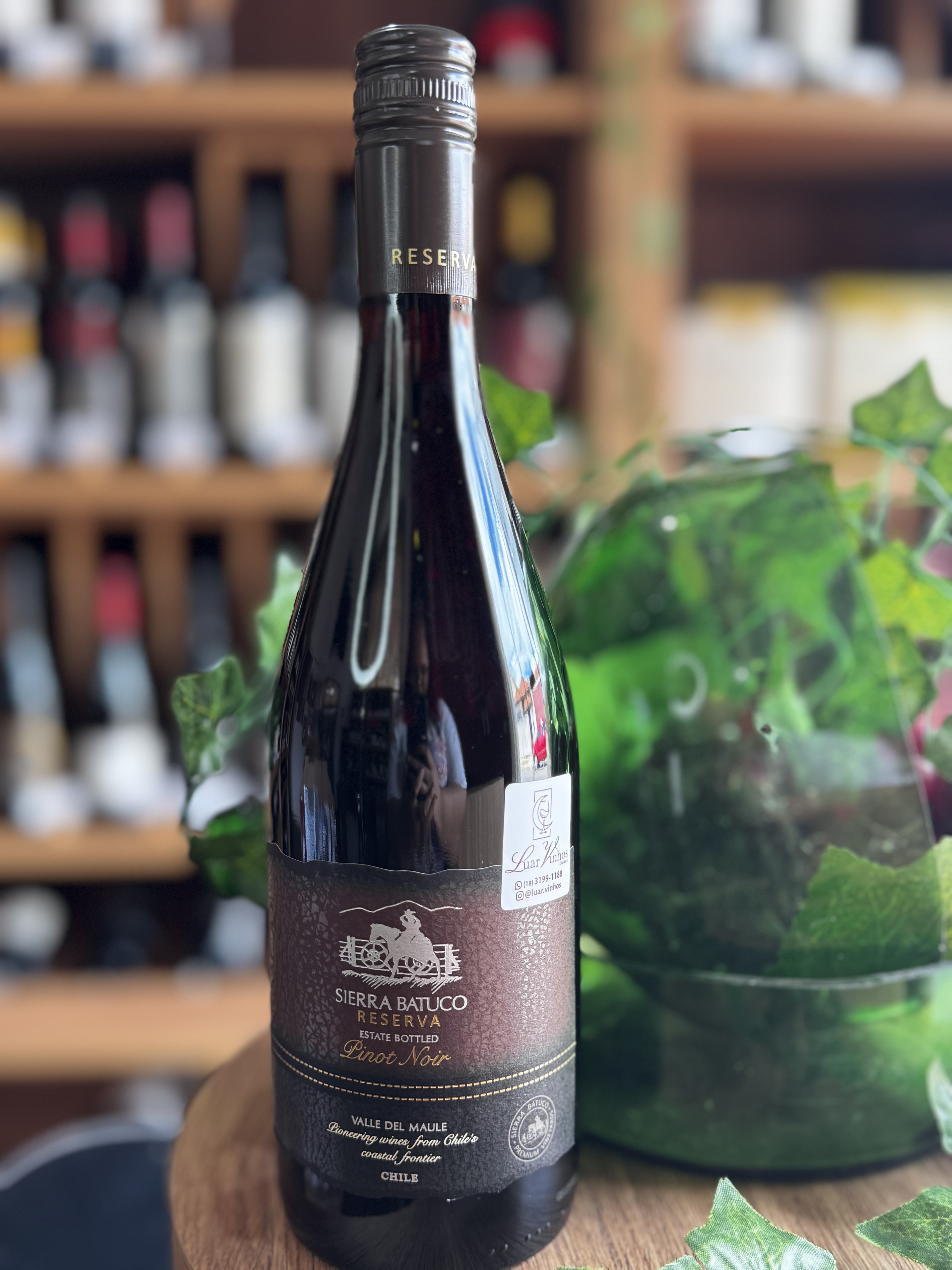 Vinho Fino Tinto Sierra Batuco Pinot Noir