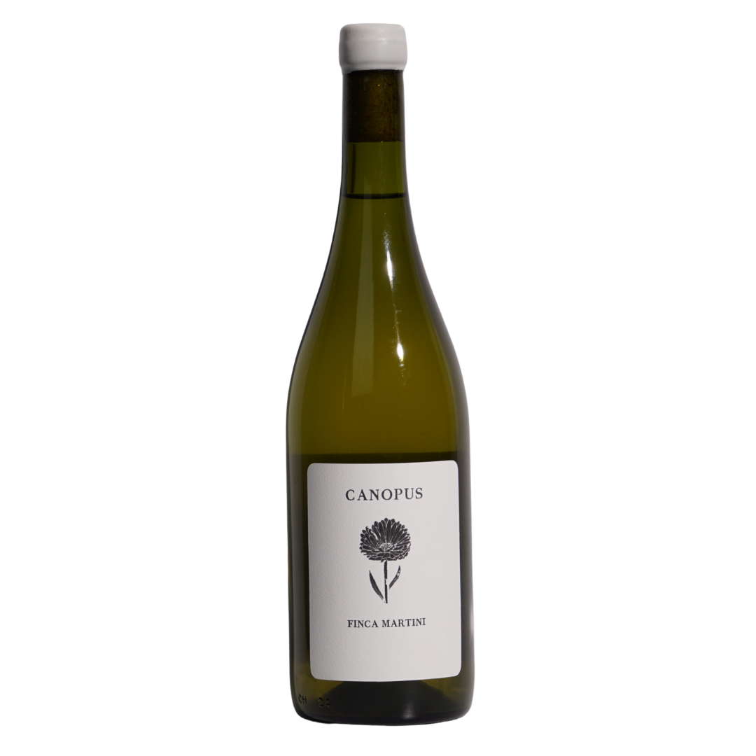 Semillon