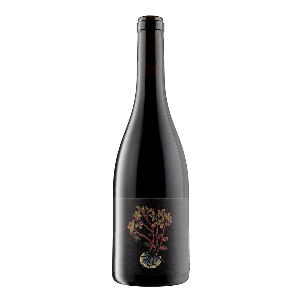 Kovè Mondeuse Gamay