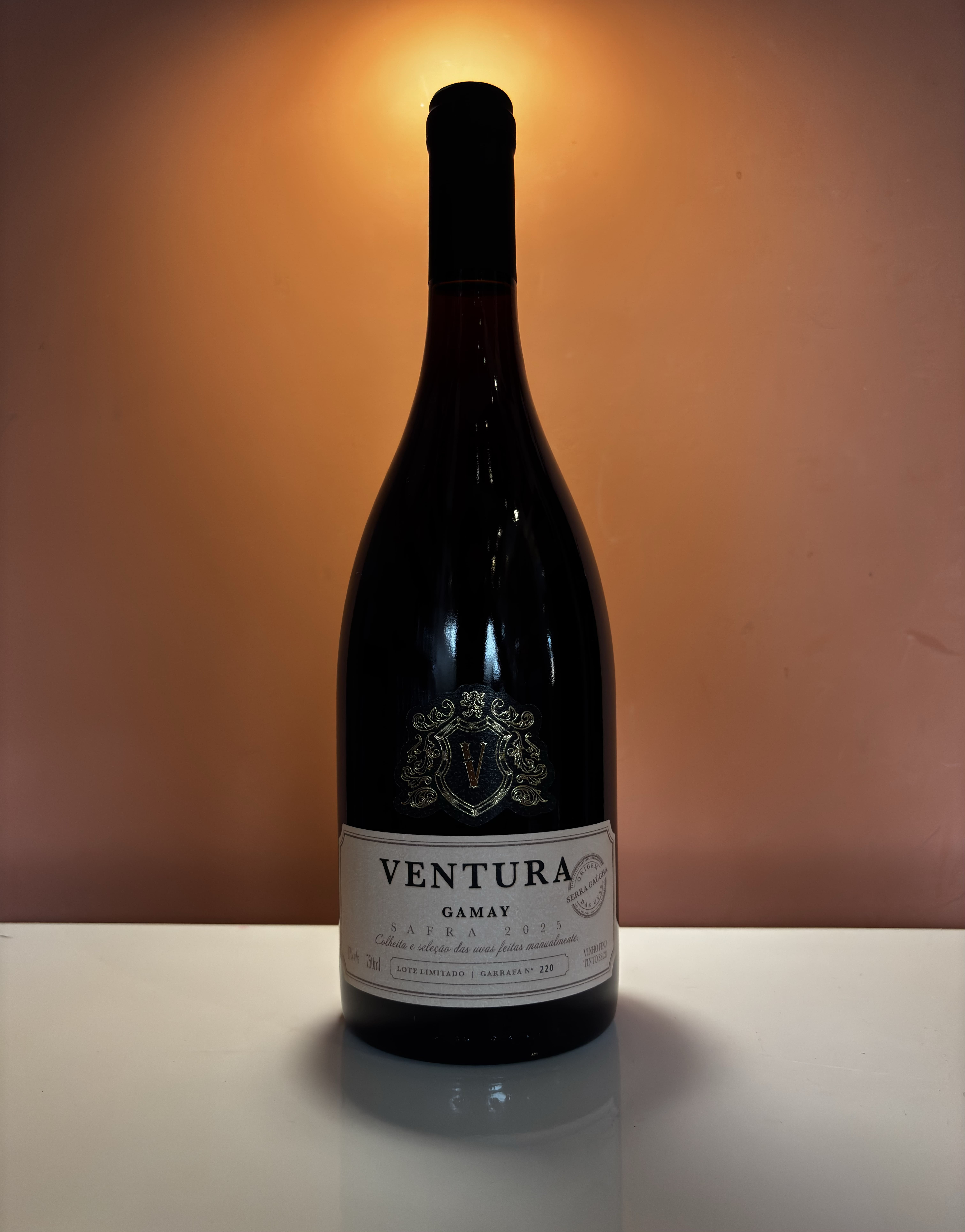 VENTURA GAMAY