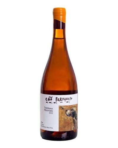 CÃO PERDIGUEIRO TREBBIANO LARANJA