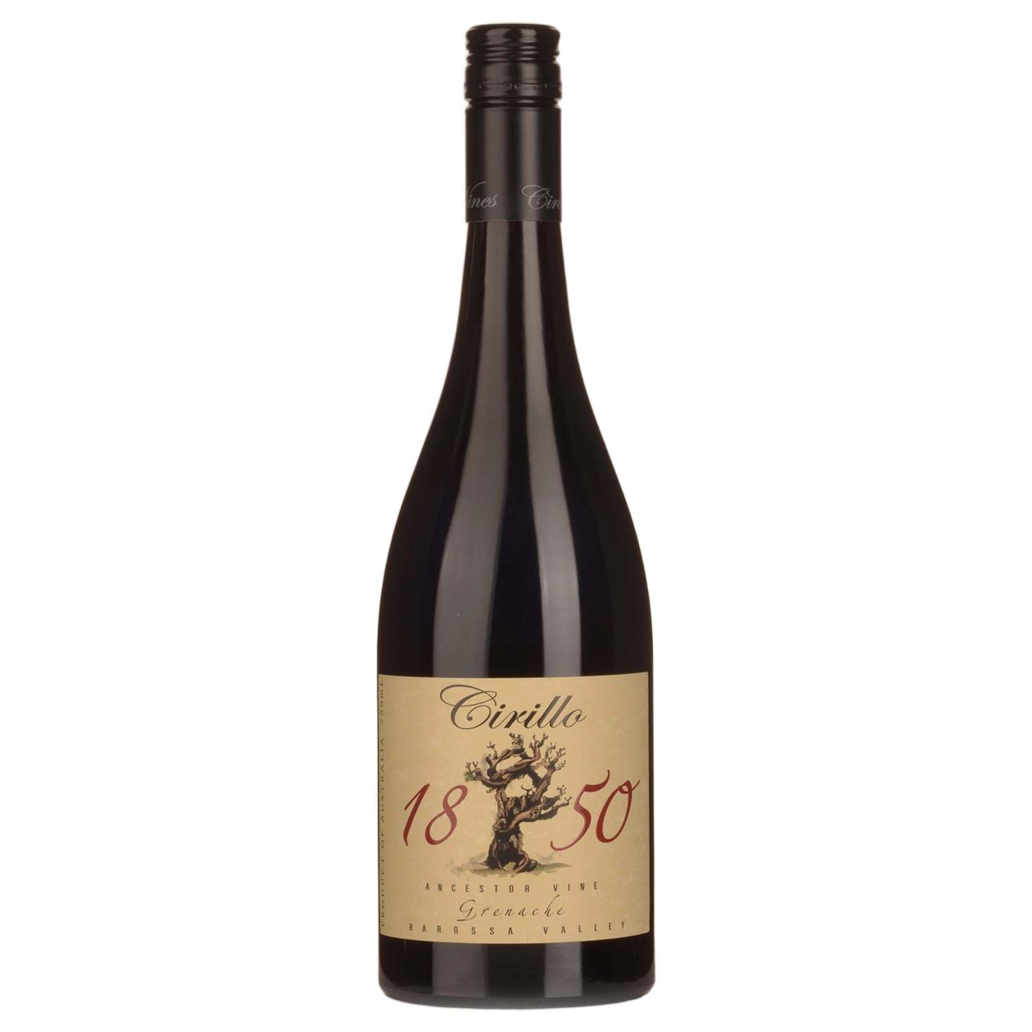Ancestor Vine Grenache