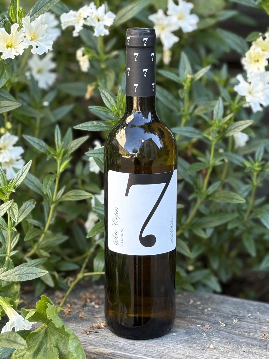 Sete Cepas '7' Albarino
