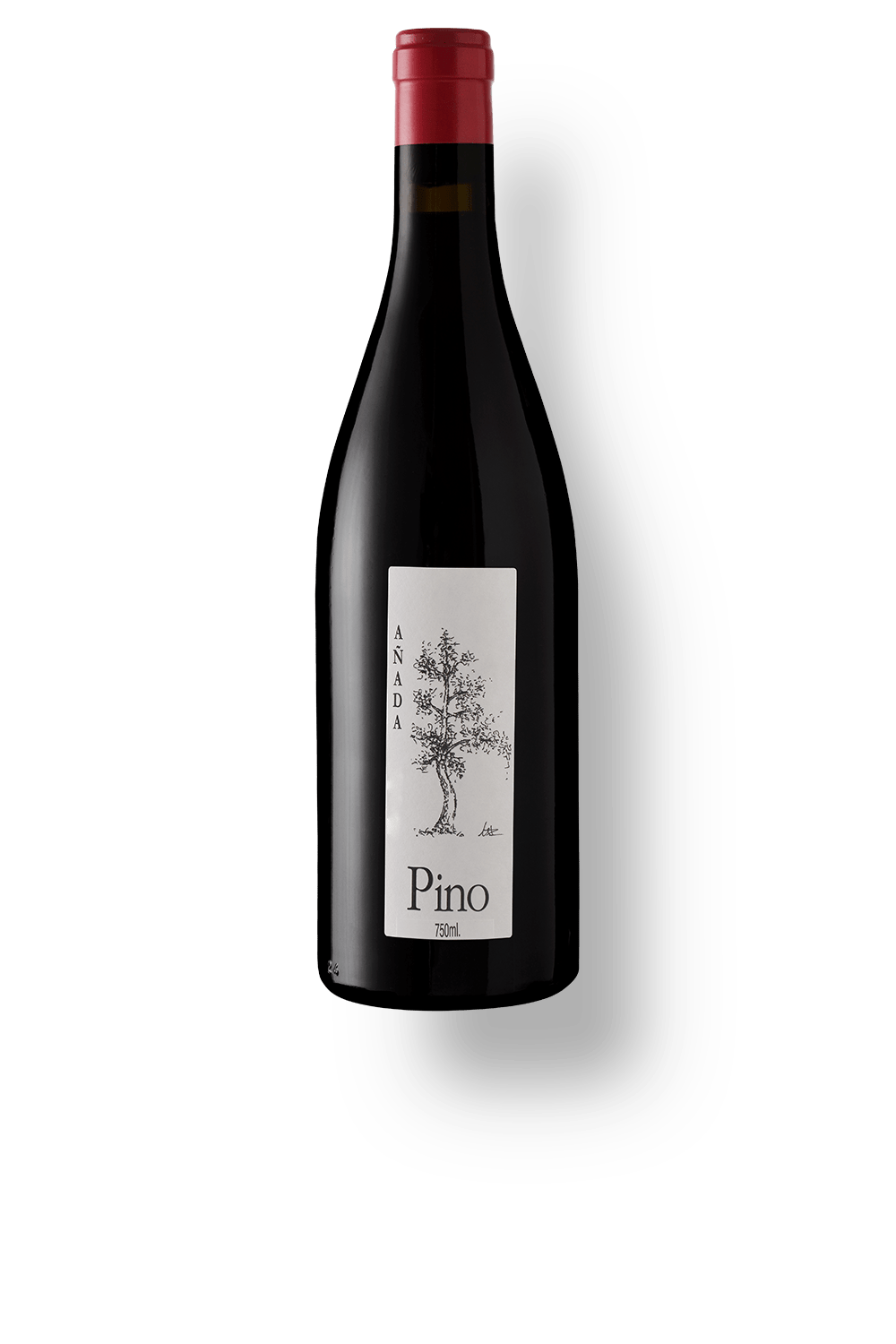 Bodegas y Viñedos Ponce Pino