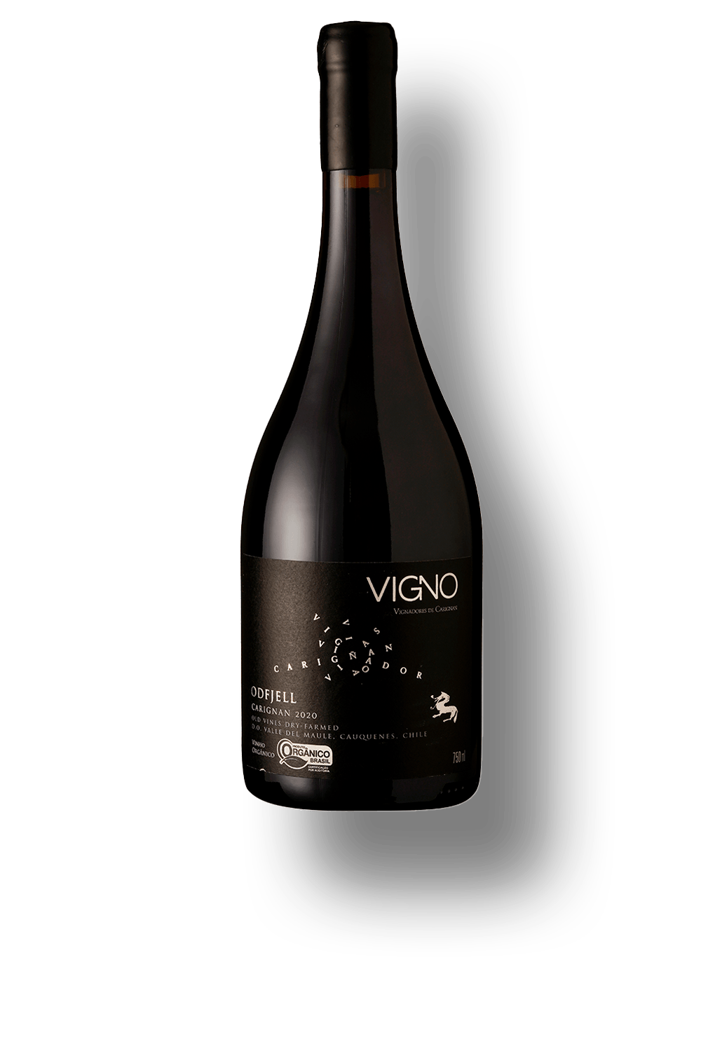 Vigno