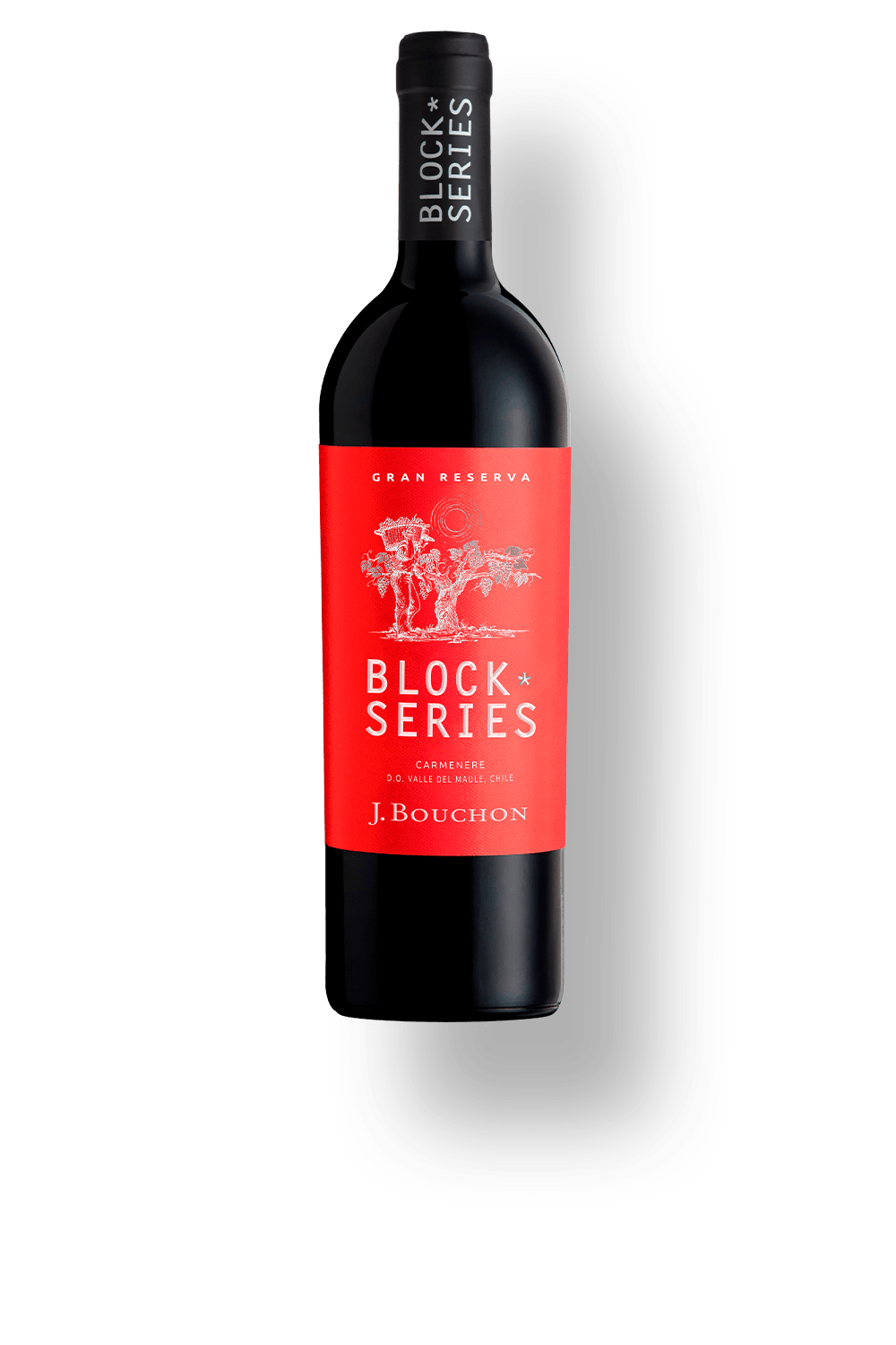 Block Series