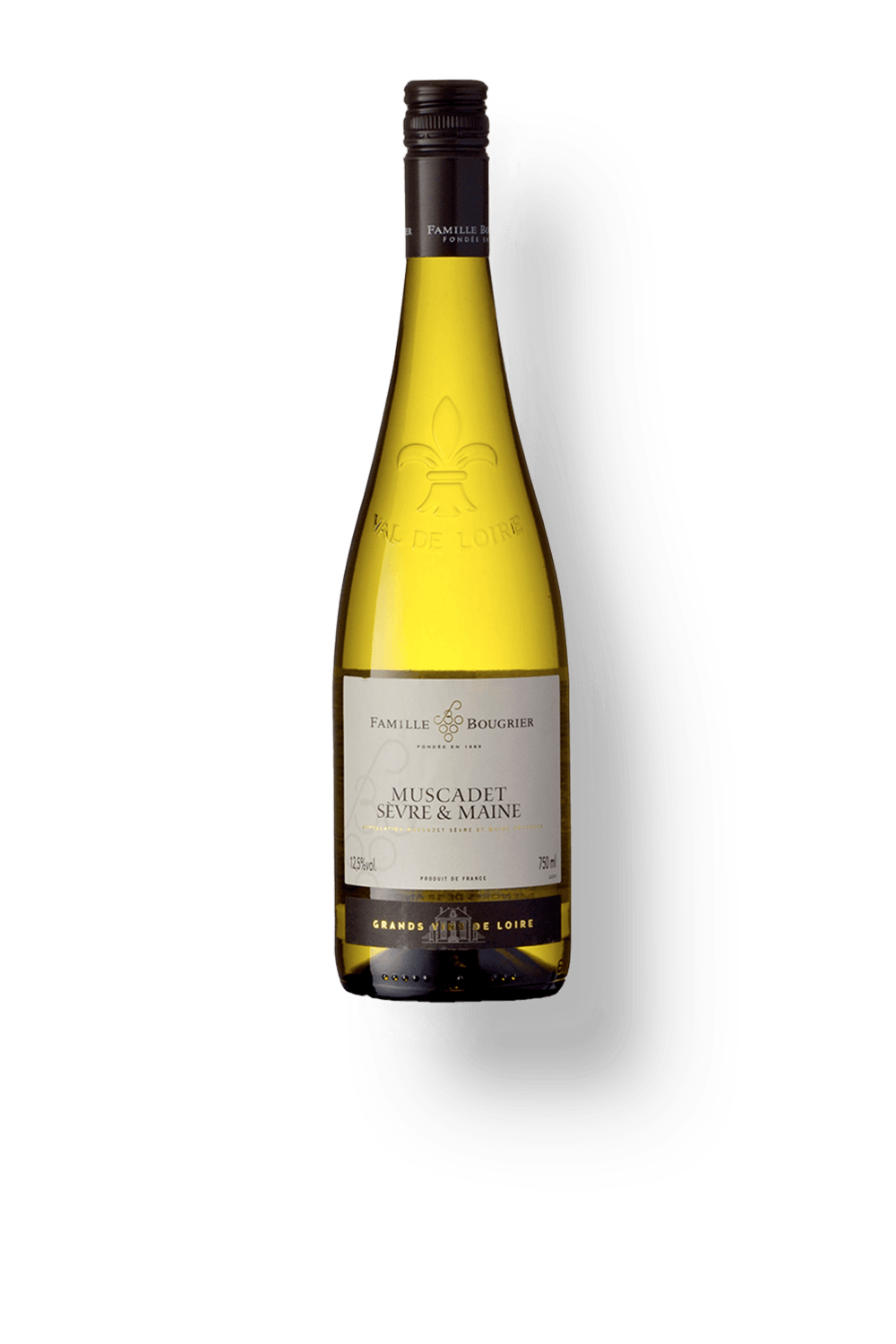 Muscadet Sèvre & Maine