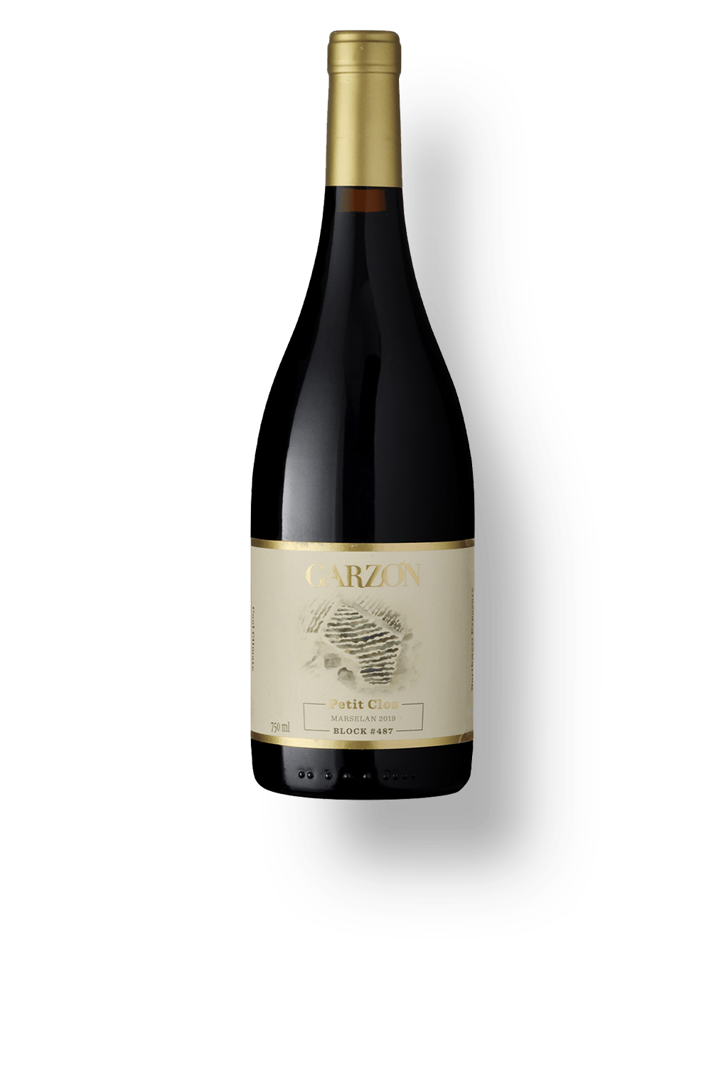 Petit Clos Marselan Block 487