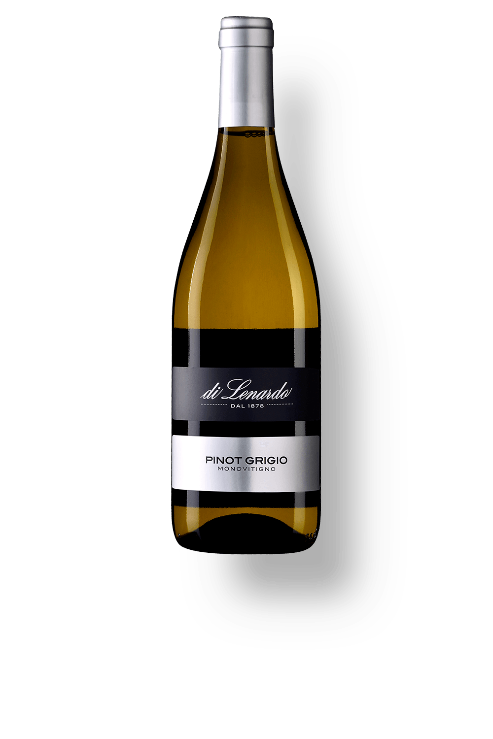 Pinot Grigio DOC