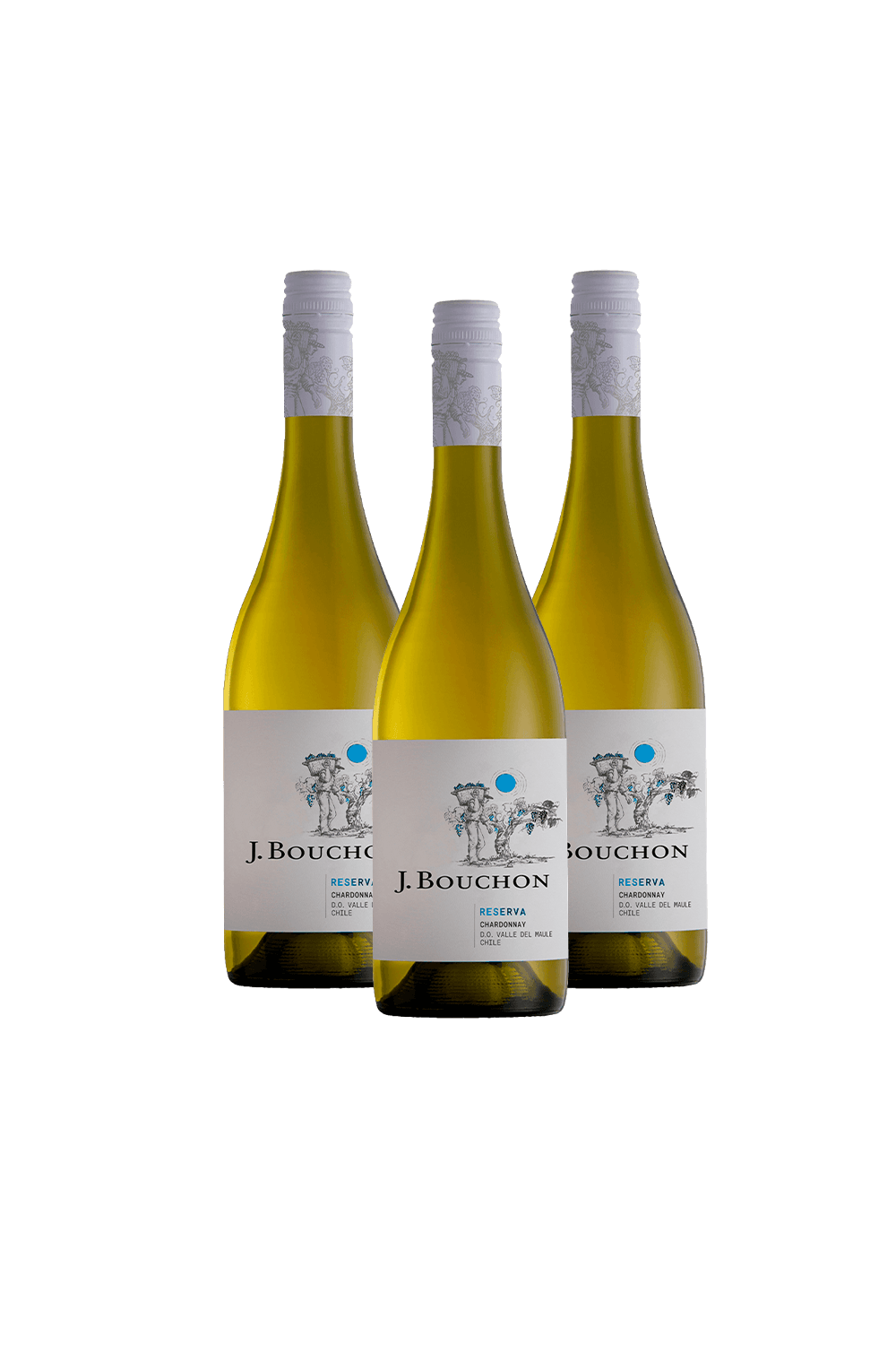 Reserva Chardonnay