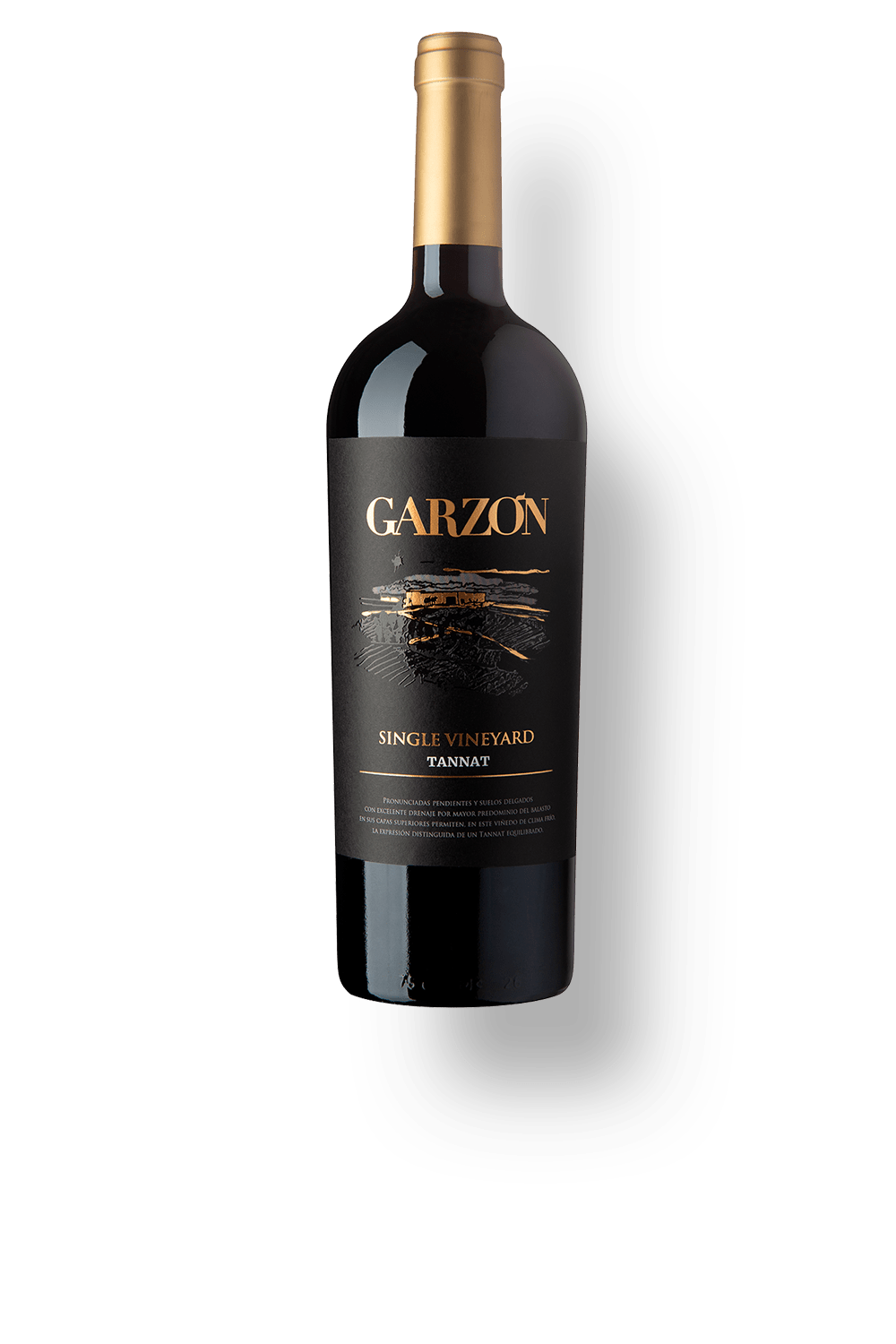 Bodega Garzón Single Vineyard Tannat