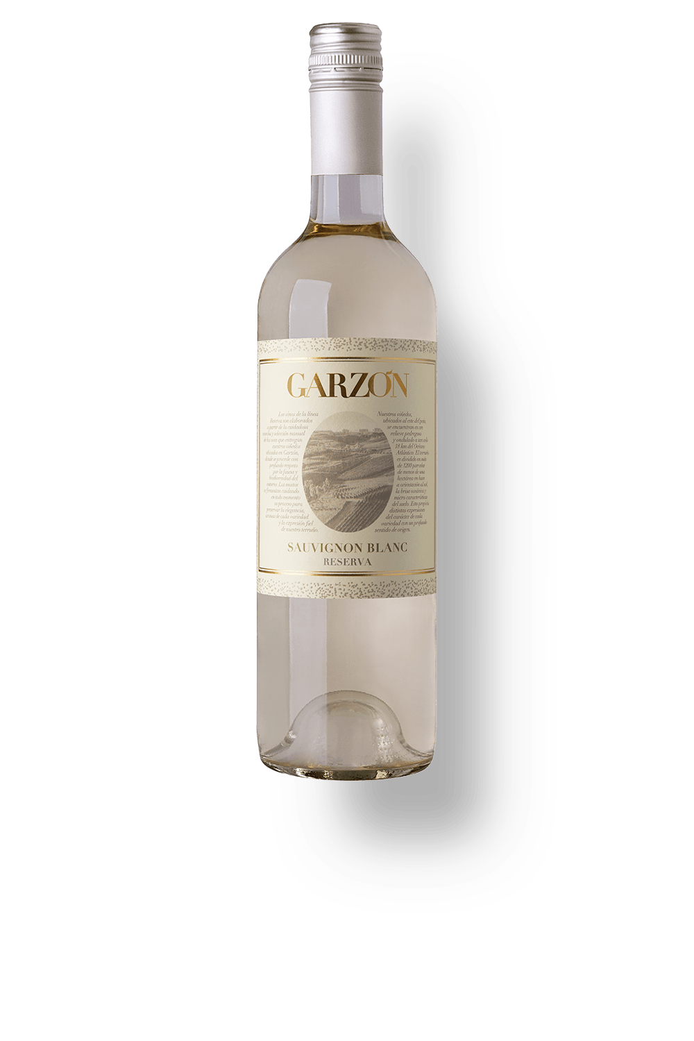 Reserva Sauvignon Blanc