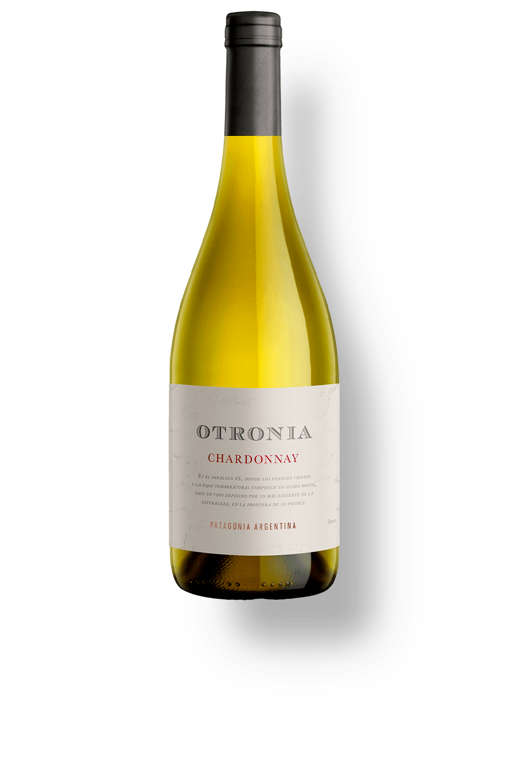 Chardonnay