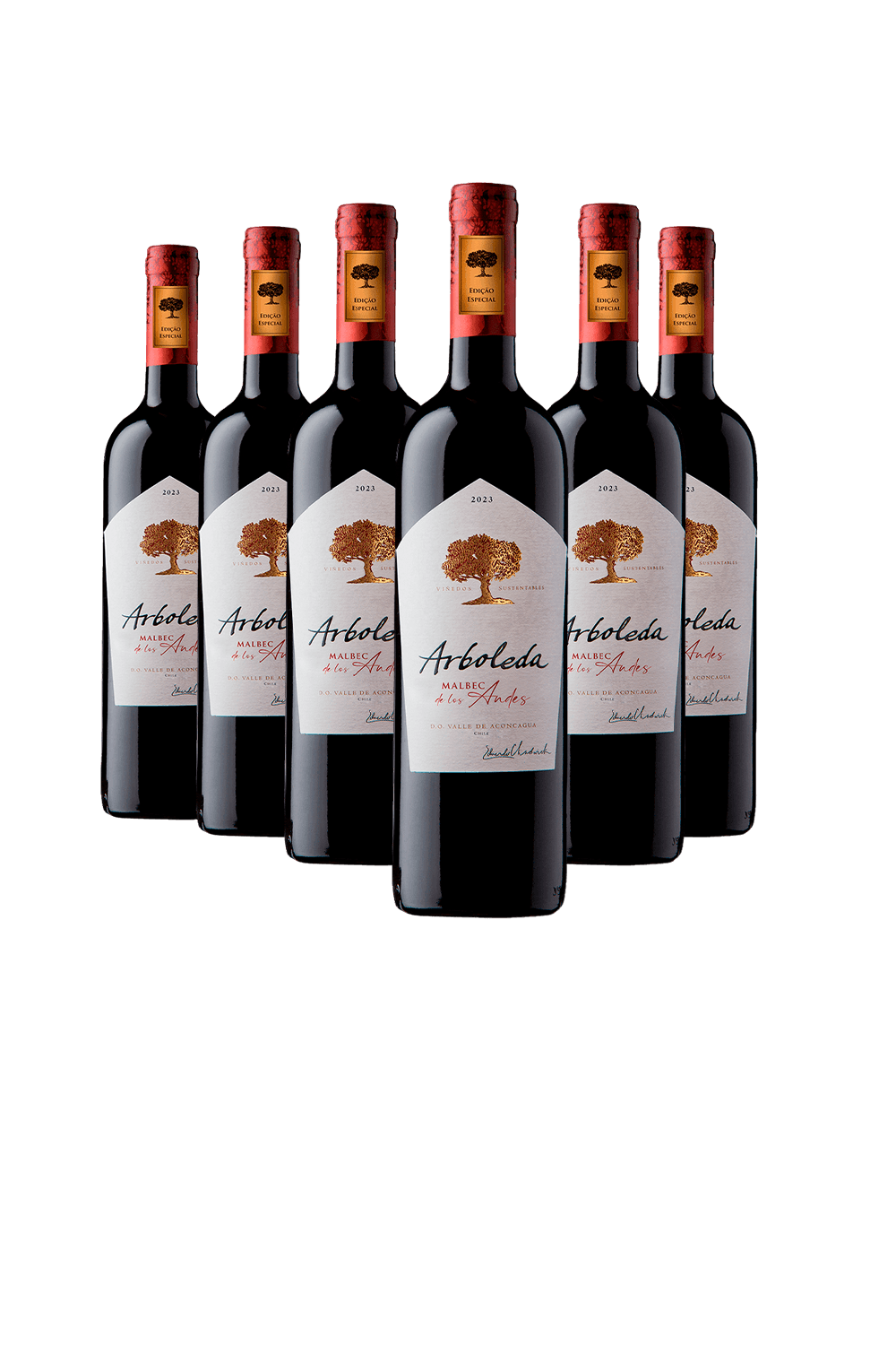 Arboleda Malbec de Los Andes