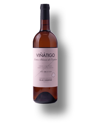 Listán Blanco de Canarias
