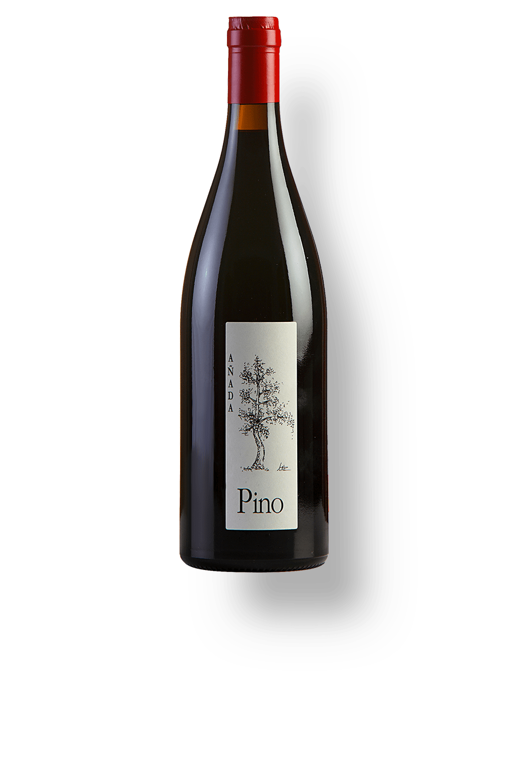 Bodegas Ponce Pino Bobal